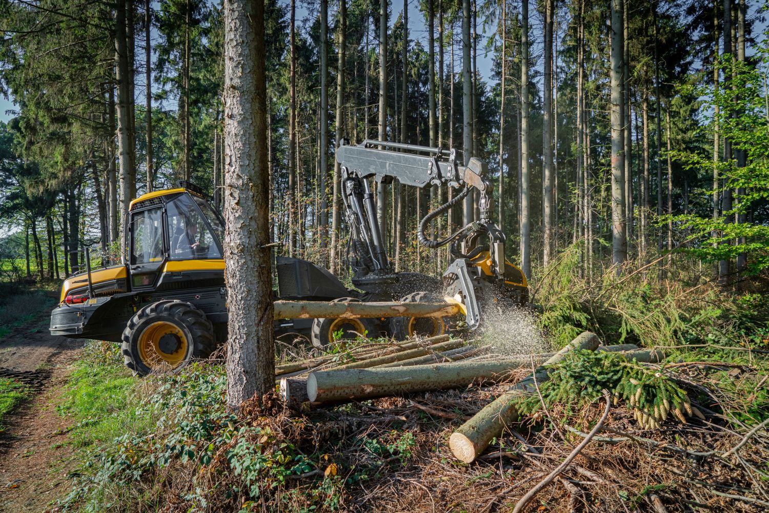 USAB2E-ANALYSE DE L'ENVIRONNEMENT TECHNICO-ÉCONOMIQUE, ÉCOLOGIQUE ET SOCIAL DE L'ENTREPRISE FORESTIÈRE ET RURALE- Règlementation des chantiers d'exploitation