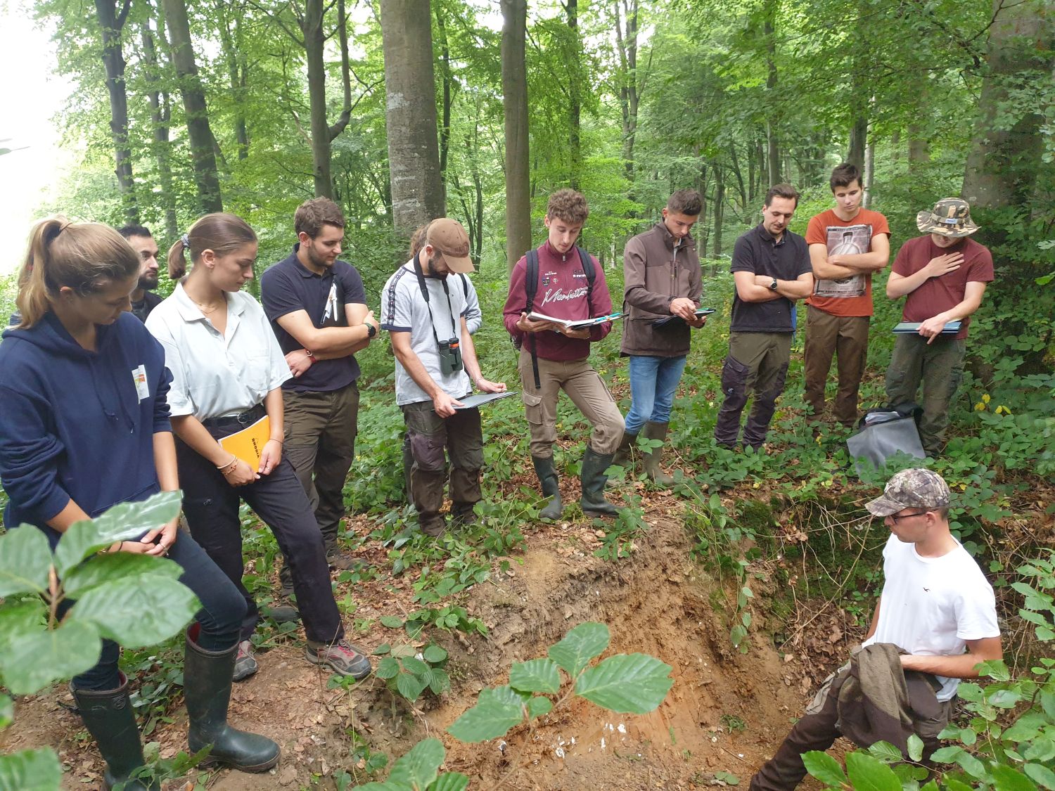 USAB2H-Connaissances de la forêts et des produits - EC61: diagnostics stations et sanitaires